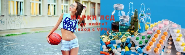 PSILOCYBIN Абаза