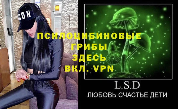 PSILOCYBIN Абаза