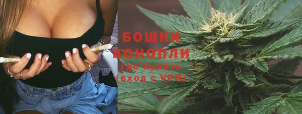 PSILOCYBIN Абаза