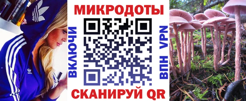 Псилоцибиновые грибы Psilocybe  Назрань 